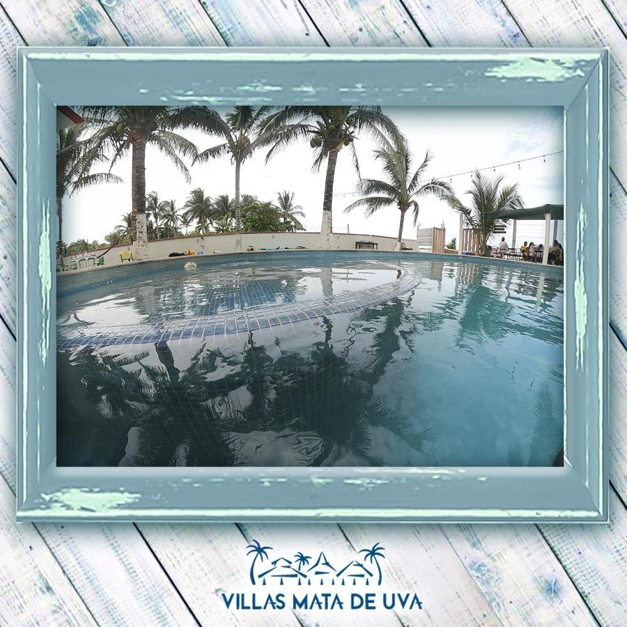 Villas Mata De Uva Heroica Alvarado Exterior photo